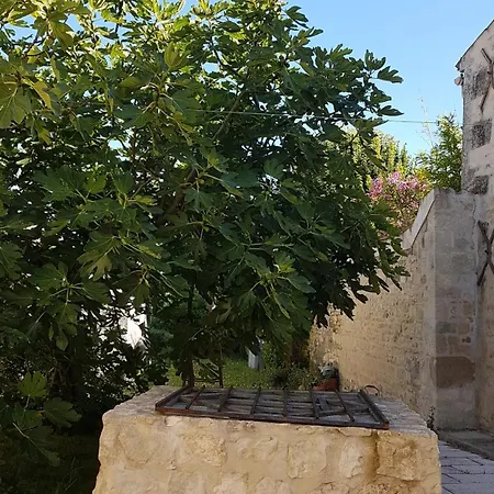 La Maison Blanche *